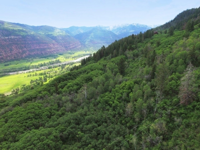 Lot For Sale, Easy Access Town, Ouray, Colorado - image 12