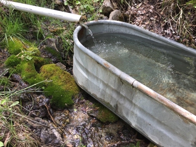 Lot For Sale, Easy Access Town, Ouray, Colorado - image 21