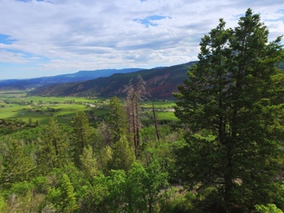 Lot For Sale, Easy Access Town, Ouray, Colorado - image 9