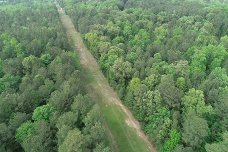 Timberland near Camden, AR for Sale W/ County Road Frontage - image 8