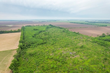205 Acres Hunting/Recreational Land for sale in Bastrop, LA - image 25