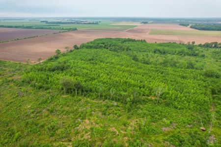 205 Acres Hunting/Recreational Land for sale in Bastrop, LA - image 27