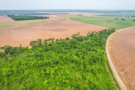 205 Acres Hunting/Recreational Land for sale in Bastrop, LA - image 29