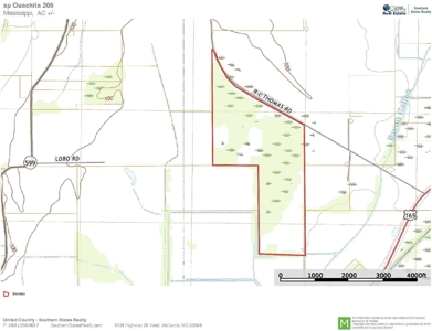 205 Acres Hunting/Recreational Land for sale in Bastrop, LA - image 50