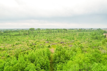 205 Acres Hunting/Recreational Land for sale in Bastrop, LA - image 19