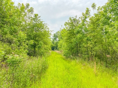 205 Acres Hunting/Recreational Land for sale in Bastrop, LA - image 45