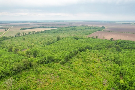 205 Acres Hunting/Recreational Land for sale in Bastrop, LA - image 33
