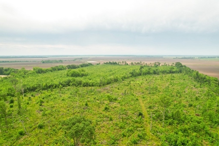 205 Acres Hunting/Recreational Land for sale in Bastrop, LA - image 36
