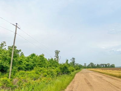 205 Acres Hunting/Recreational Land for sale in Bastrop, LA - image 5