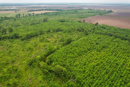 205 Acres Hunting/Recreational Land for sale in Bastrop, LA - image 31