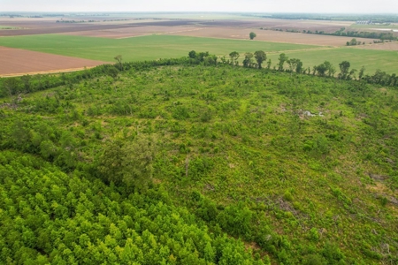 205 Acres Hunting/Recreational Land for sale in Bastrop, LA - image 24