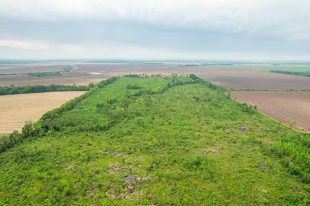 205 Acres Hunting/Recreational Land for sale in Bastrop, LA - image 26