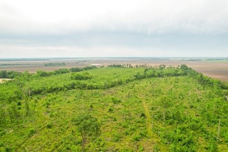 205 Acres Hunting/Recreational Land for sale in Bastrop, LA - image 34