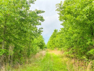205 Acres Hunting/Recreational Land for sale in Bastrop, LA - image 6
