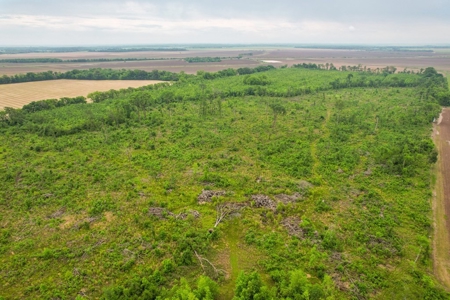 205 Acres Hunting/Recreational Land for sale in Bastrop, LA - image 22