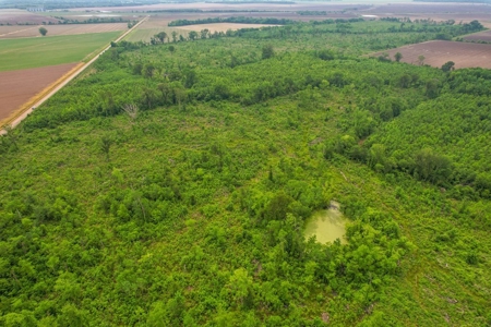 205 Acres Hunting/Recreational Land for sale in Bastrop, LA - image 32