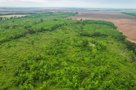 205 Acres Hunting/Recreational Land for sale in Bastrop, LA - image 30