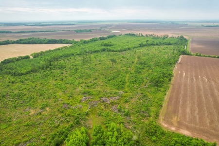 205 Acres Hunting/Recreational Land for sale in Bastrop, LA - image 35