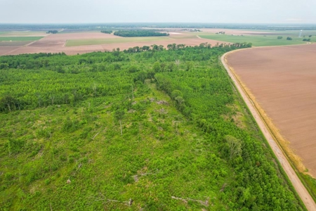 205 Acres Hunting/Recreational Land for sale in Bastrop, LA - image 1