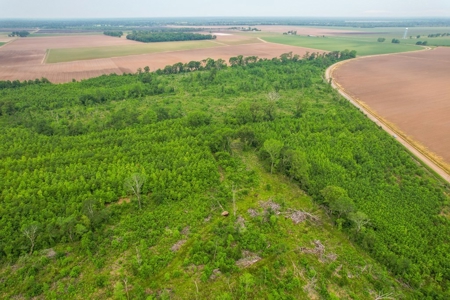 205 Acres Hunting/Recreational Land for sale in Bastrop, LA - image 28