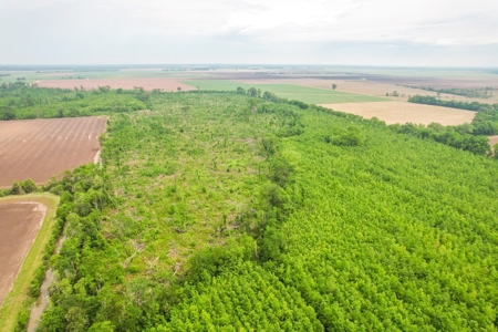 205 Acres Hunting/Recreational Land for sale in Bastrop, LA - image 38