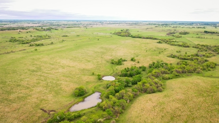 Premier Cattle Ranch Craig County Oklahoma - image 2