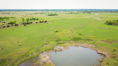 Premier Cattle Ranch Craig County Oklahoma - image 7