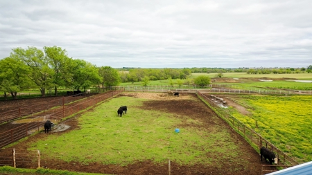 Premier Cattle Ranch Craig County Oklahoma - image 27