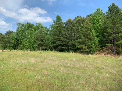 Small Commercial Lot / Land for Sale in Camden-Fairview, AR - image 4