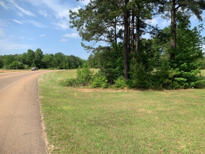 Small Commercial Lot / Land for Sale in Camden-Fairview, AR - image 6