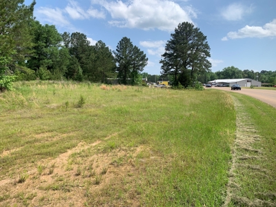 Small Commercial Lot / Land for Sale in Camden-Fairview, AR - image 1
