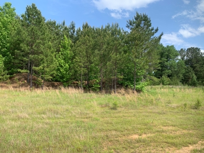 Small Commercial Lot / Land for Sale in Camden-Fairview, AR - image 3