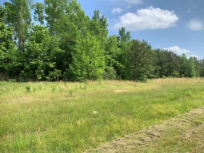 Small Commercial Lot / Land for Sale in Camden-Fairview, AR - image 8
