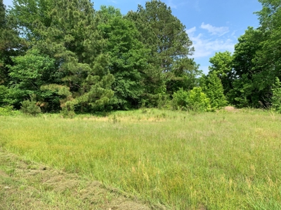 Small Commercial Lot / Land for Sale in Camden-Fairview, AR - image 7