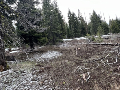 Mountain Property, Remote, Recreational, Trees, Forest - image 3