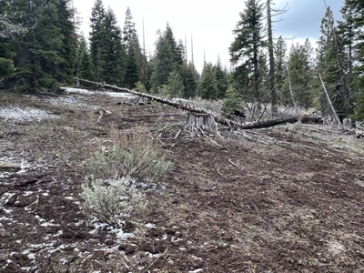 Mountain Property, Remote, Recreational, Trees, Forest - image 2