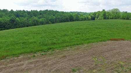 Beautiful 7.6 Acres In Casey County, Ky - image 3