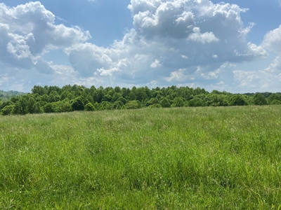 Beautiful 7.6 Acres In Casey County, Ky - image 11