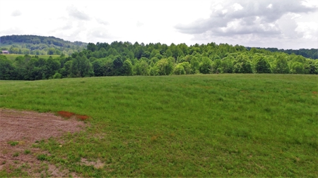 Beautiful 7.6 Acres In Casey County, Ky - image 1