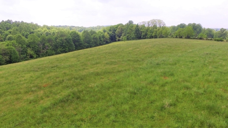 Beautiful 7.6 Acres In Casey County, Ky - image 4
