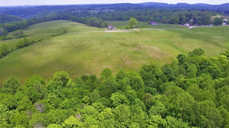 Beautiful 7.6 Acres In Casey County, Ky - image 8