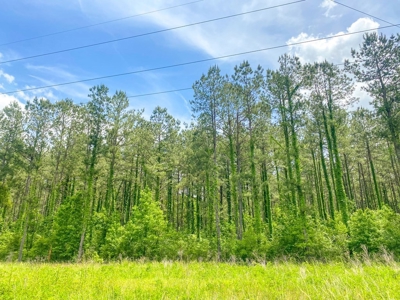 238 Acres Hunting/Recreational Land for Sale Pike County MS - image 37