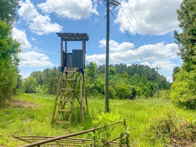 238 Acres Hunting/Recreational Land for Sale Pike County MS - image 43