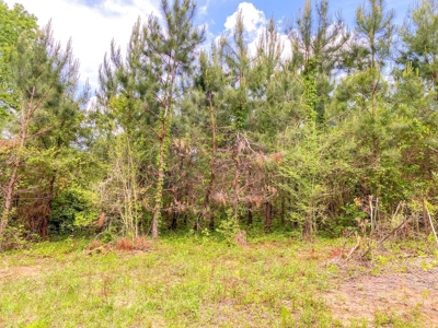 238 Acres Hunting/Recreational Land for Sale Pike County MS - image 6