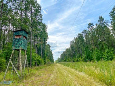 238 Acres Hunting/Recreational Land for Sale Pike County MS - image 18