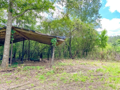 238 Acres Hunting/Recreational Land for Sale Pike County MS - image 42