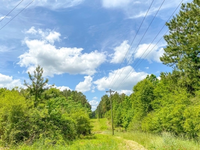 238 Acres Hunting/Recreational Land for Sale Pike County MS - image 5