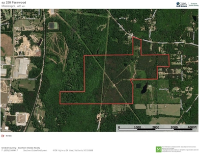 238 Acres Hunting/Recreational Land for Sale Pike County MS - image 45