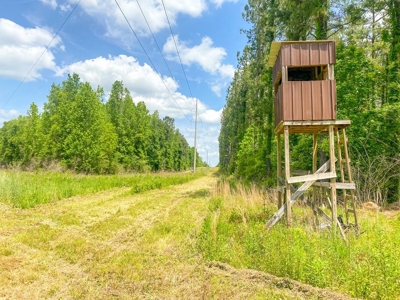 238 Acres Hunting/Recreational Land for Sale Pike County MS - image 25