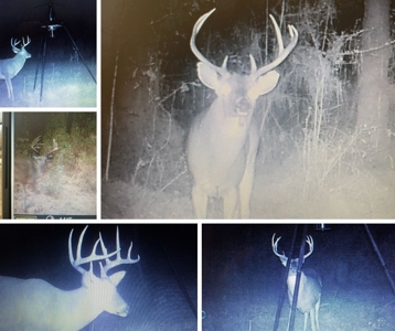 238 Acres Hunting/Recreational Land for Sale Pike County MS - image 49